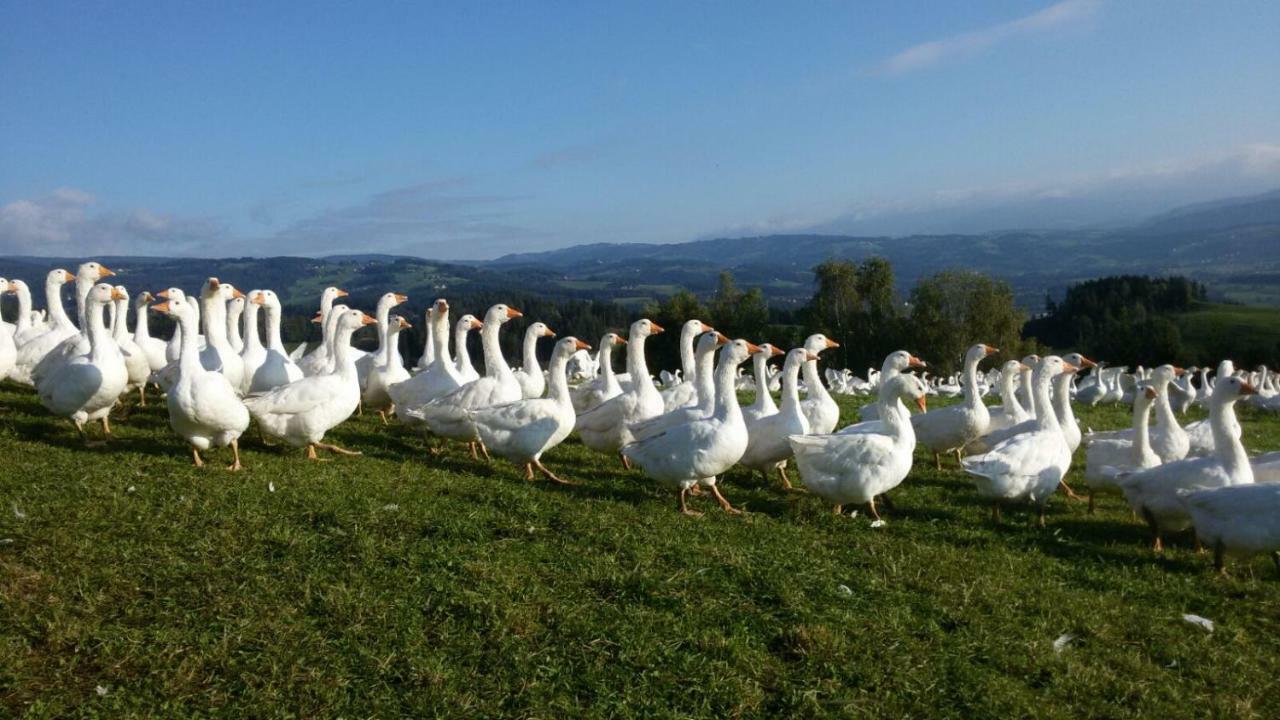 Sankt AndräLindlhof Fam. Taferner别墅 外观 照片